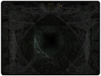 Spiderwebs!
